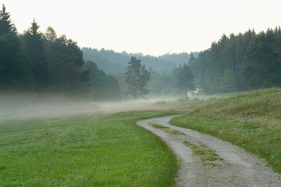 Landschaft mit Weg durch Tal am frühen Morgen im Sommer, Bayern, Deutschland
