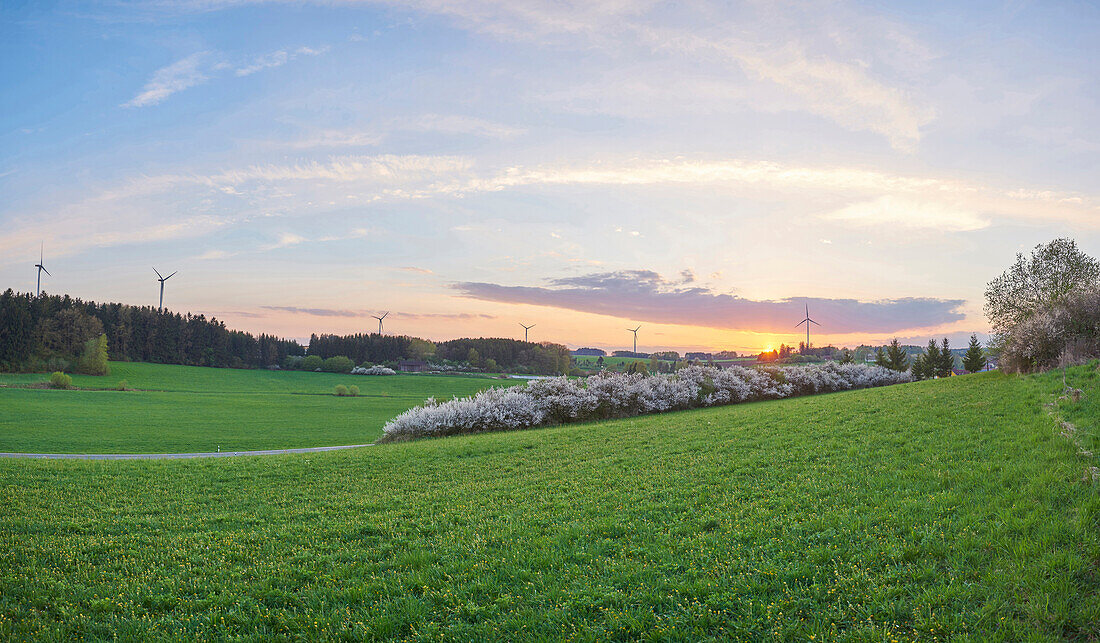 Landschaft mit Sonnenuntergang im Frühling, Oberpfalz, Bayern, Deutschland