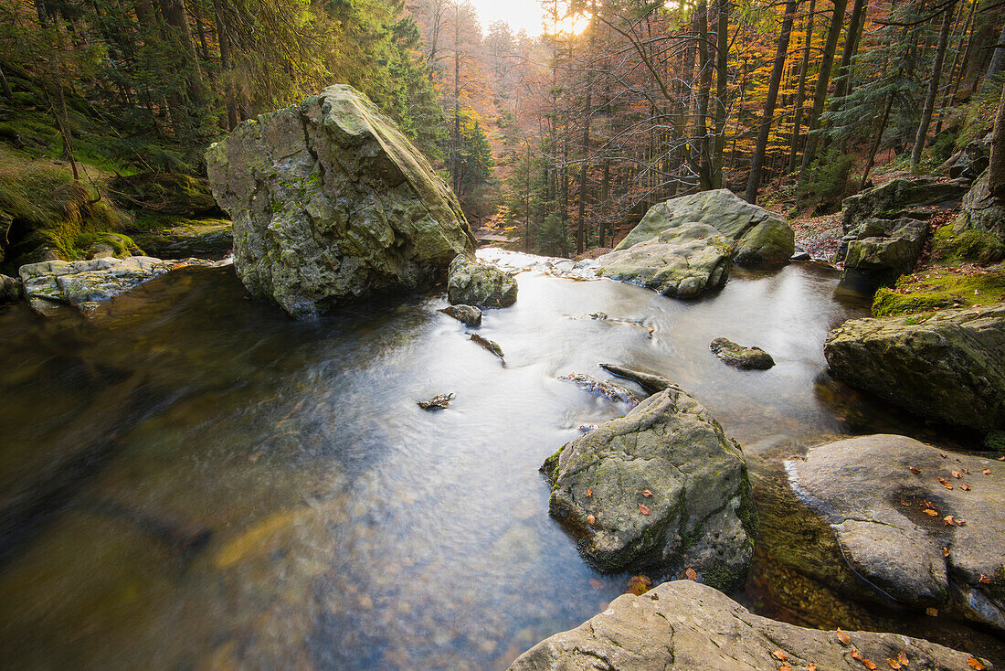 Landschaftlicher Blick auf einen Fluss im Herbst, Nationalpark Bayerischer Wald, Bayern, Deutschland