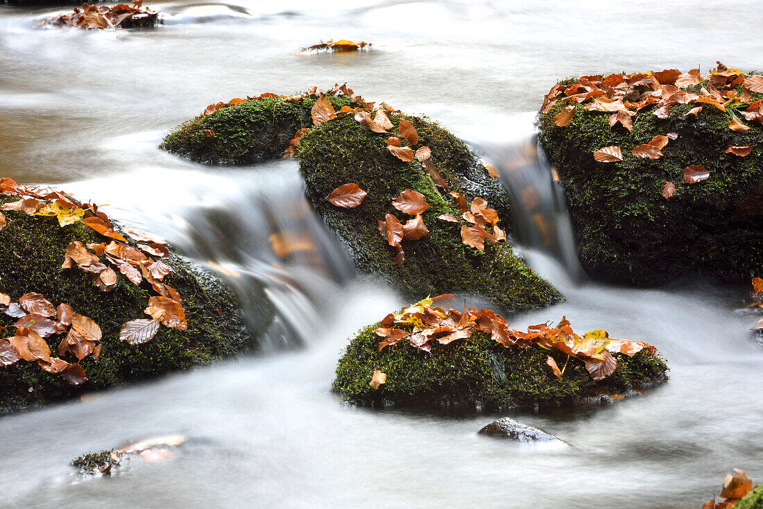 Detail von moosbewachsenen Felsen und fließendem Wasser eines Flusses im Herbst, Nationalpark Bayerischer Wald, Bayern, Deutschland