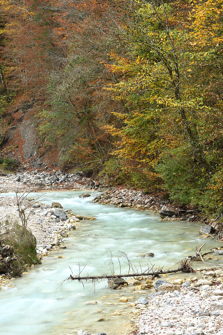 Blick auf die Partnachklamm im Herbst, Landkreis Garmisch Partenkirchen, Oberbayern, Deutschland