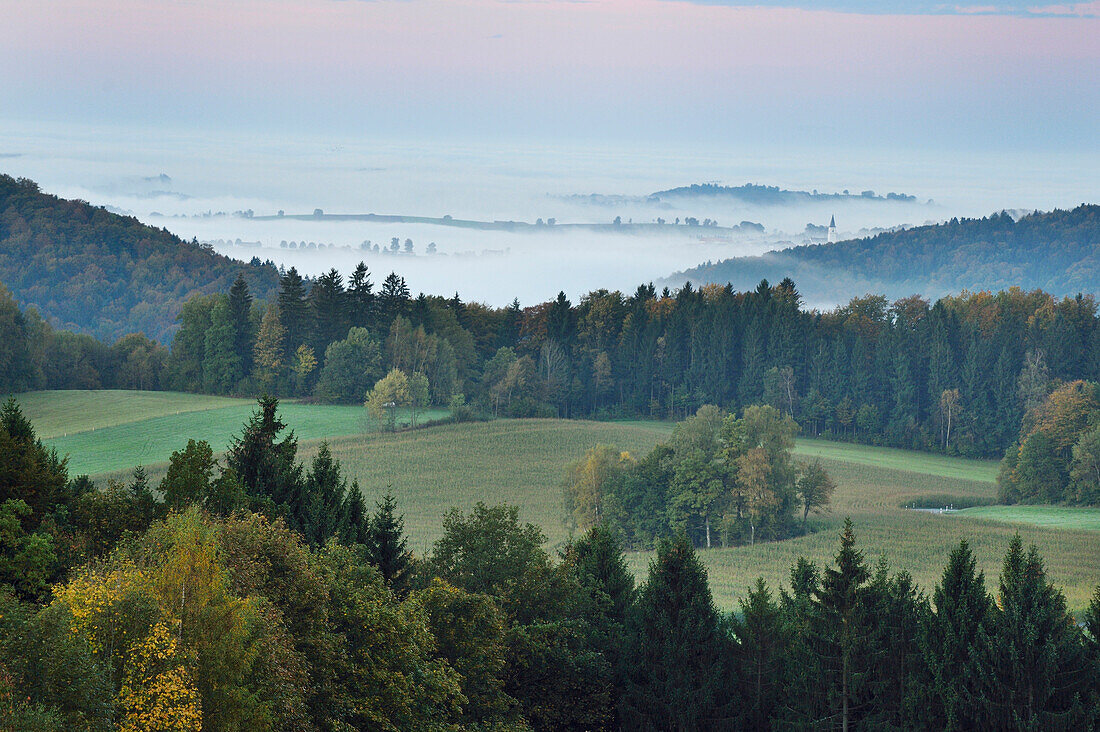 Landschaftlicher Überblick über Land und Hügel an einem frühen, herbstlichen Morgen mit Nebel, Nationalpark Bayerischer Wald, Bayern, Deutschland