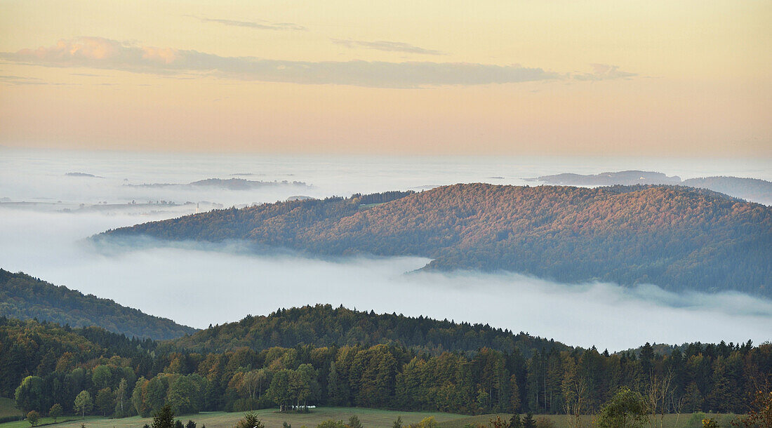 Scenic overview of hills on an early, autumn morning with fog, Bavarian Forest National Park, Bavaria, Germany