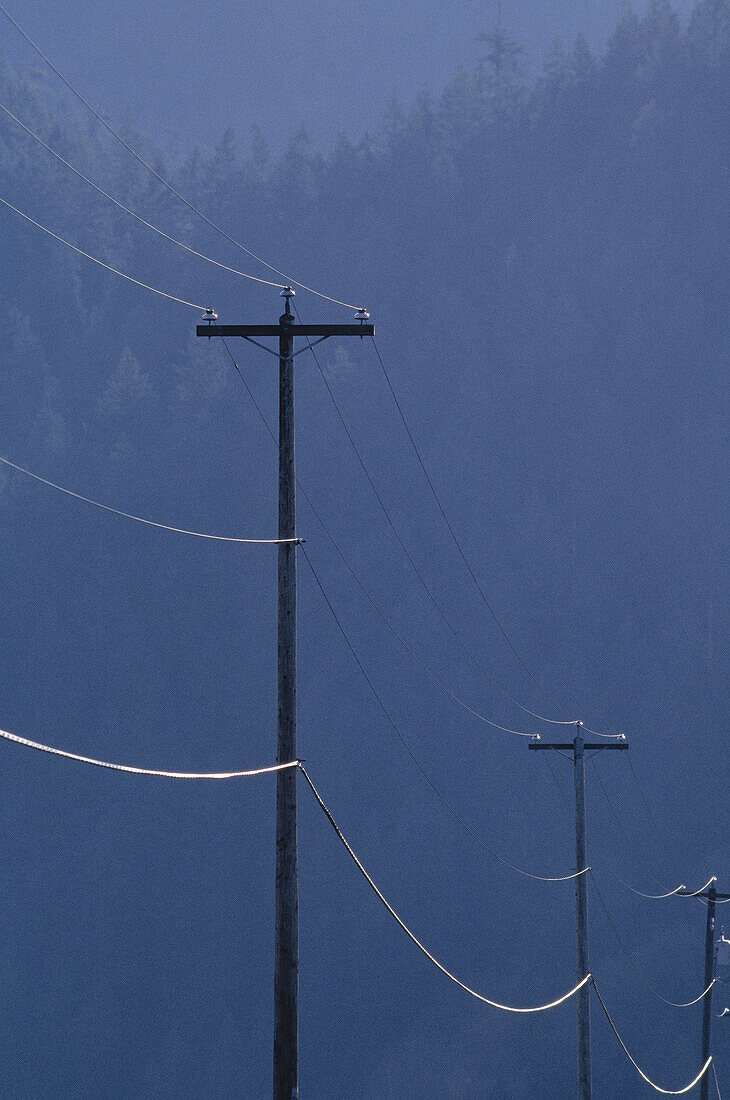 Strom- und Telefonleitungen