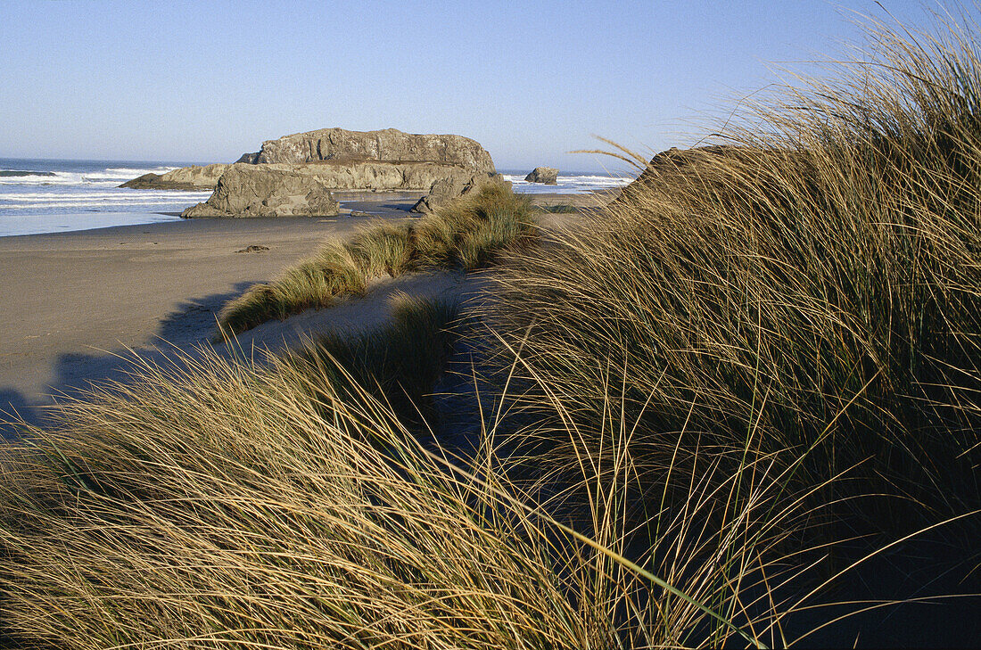 Oregon Coast, Oregon, USA