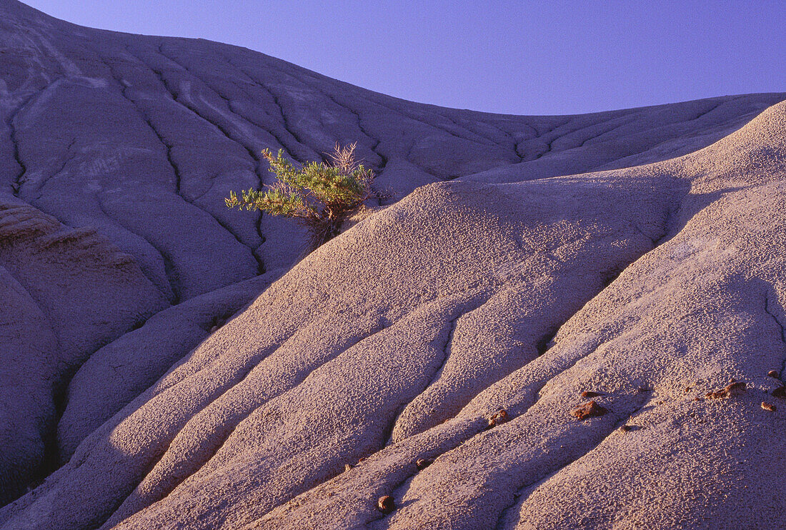 Dinosaur Provincial Park, Alberta, Canada