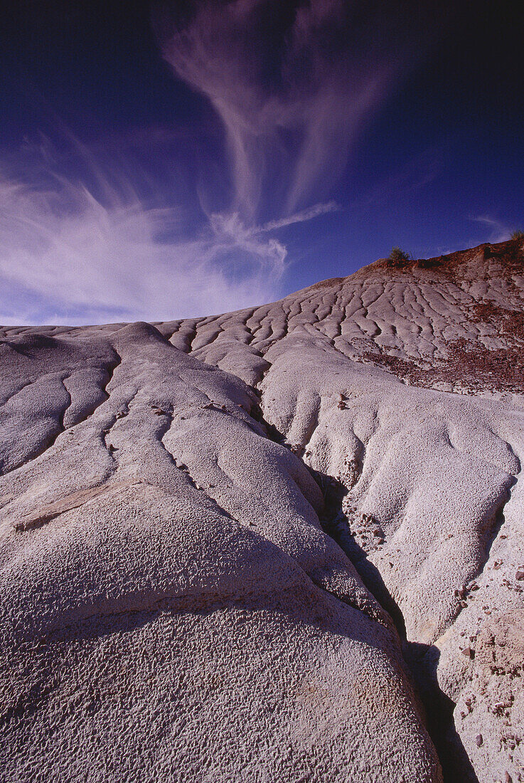 Dinosaur Provincial Park, Alberta, Canada