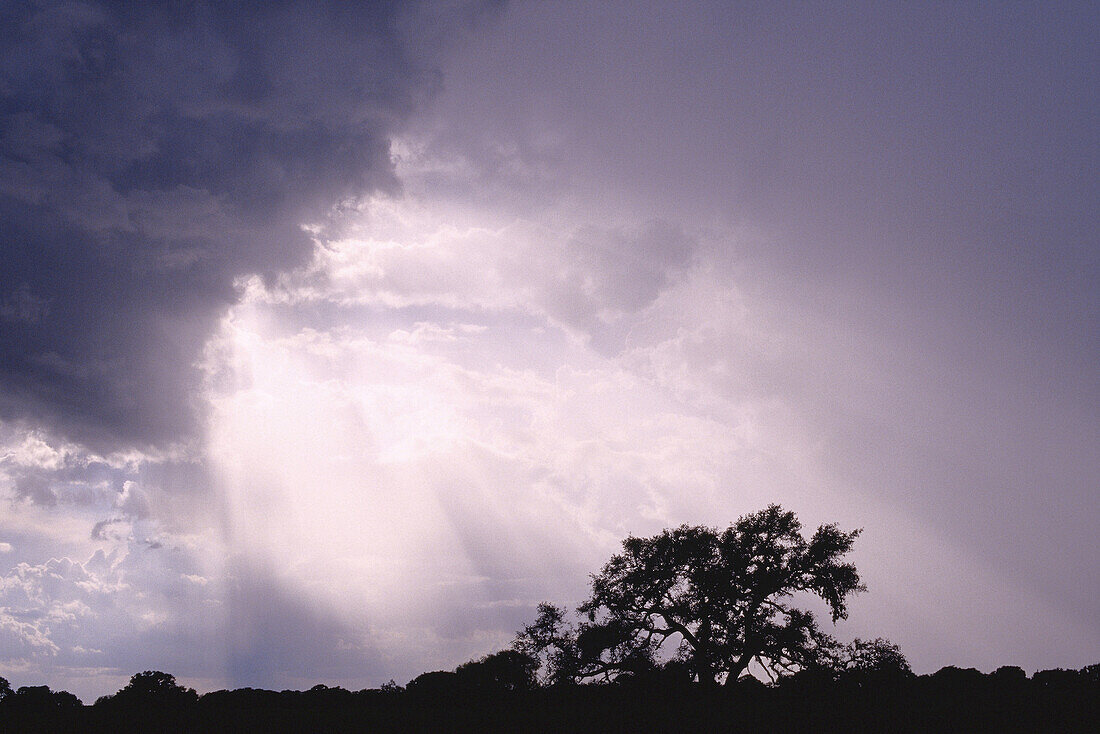 Sonnenstrahlen durch Gewitterwolken, Texas, USA
