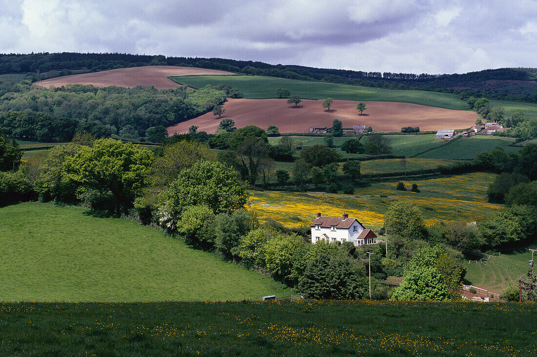 Overview of Farmland