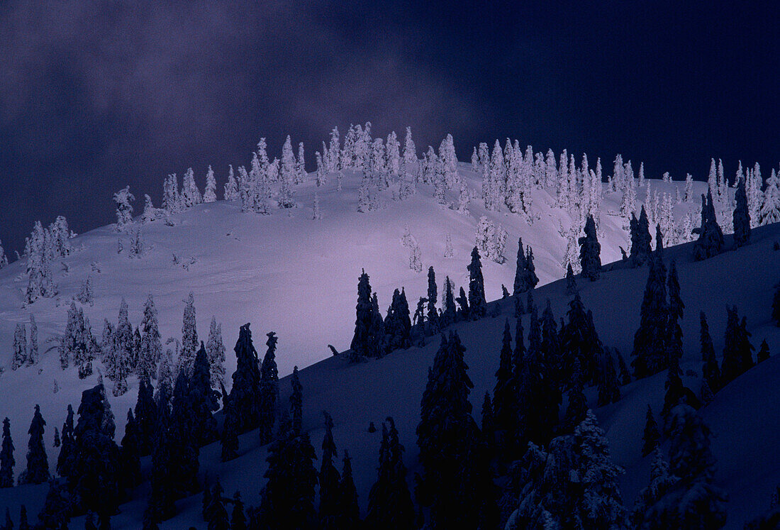 Mount Seymour Vancouver, British Columbia Canada