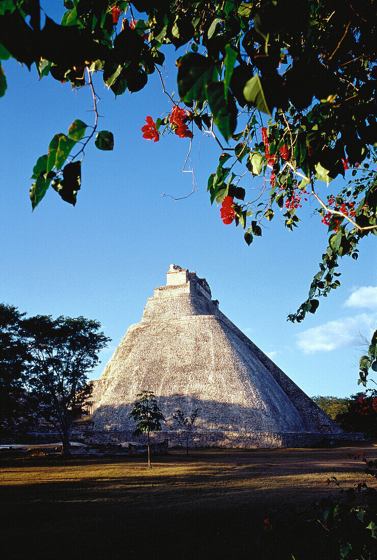 Pyramid of the Magician Uxmal Ruins, Yucatan, Mexico