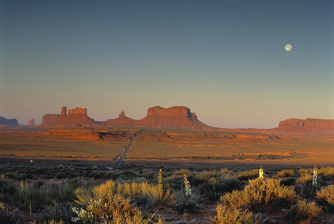 Übersicht über Felsformationen und Landschaft bei Sonnenaufgang mit Vollmond, Monument Valley, UT, USA