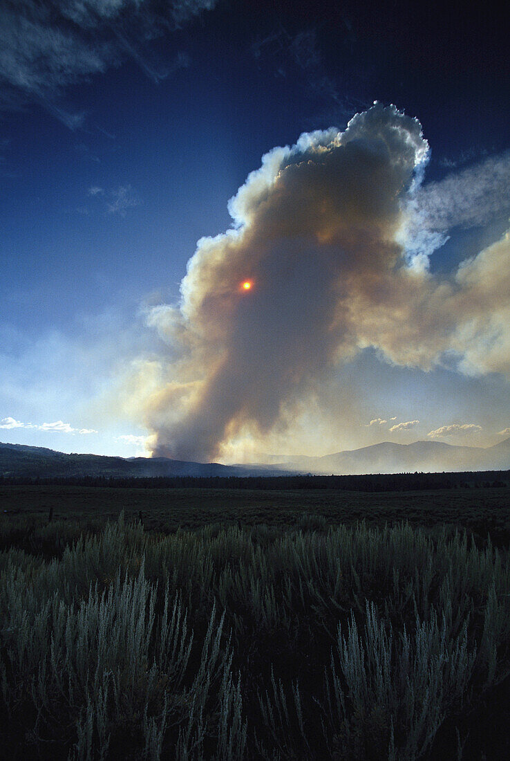 Waldbrand