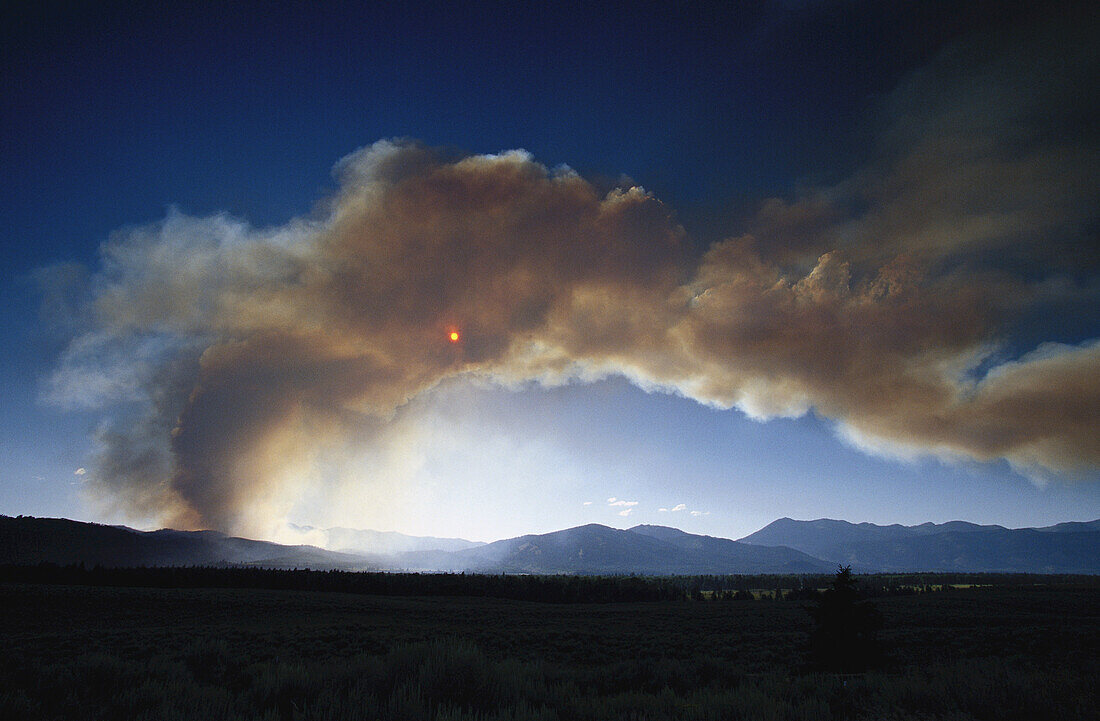 Waldbrand