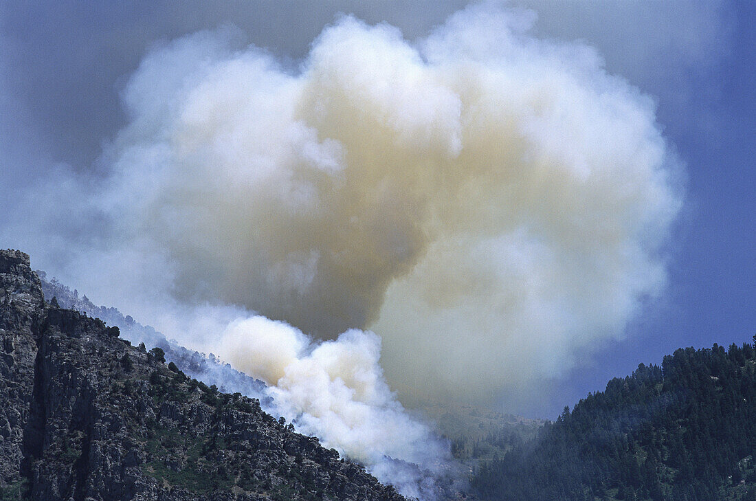 Landschaft und Rauch von Waldbrand