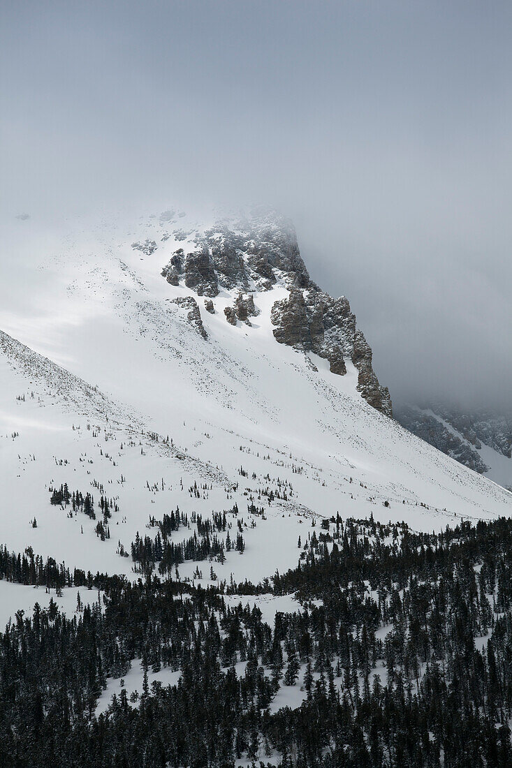 Great Basin National Park, Nevada, USA