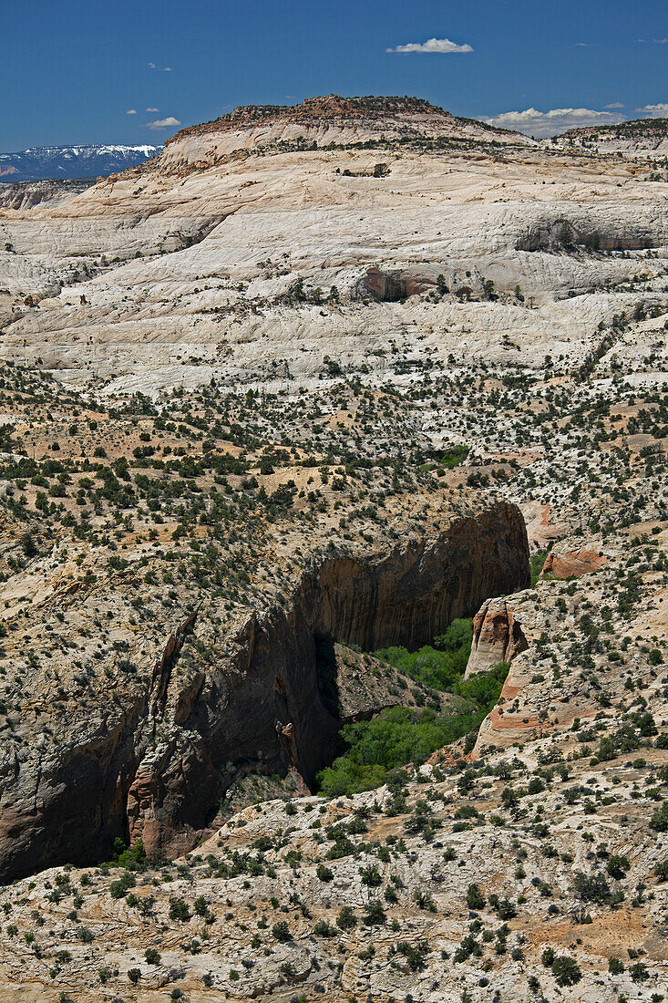 Große Treppe Escalante Nationaldenkmal, Utah, USA