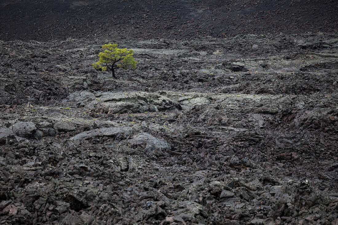 Craters of the Moon National Monument and Preserve, Idaho, USA