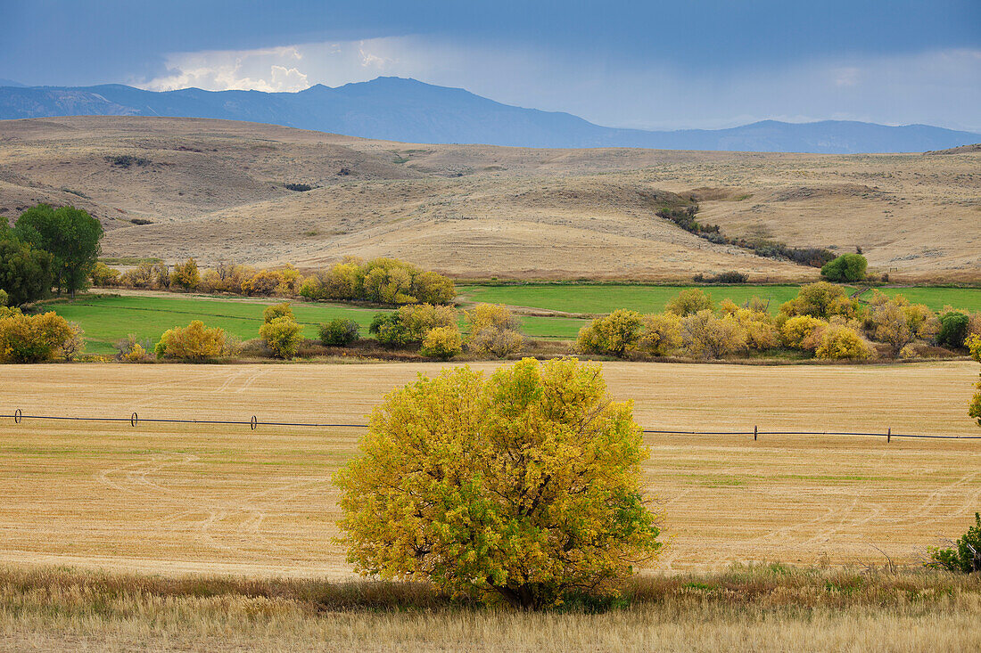 Rangeland, Wyoming, USA
