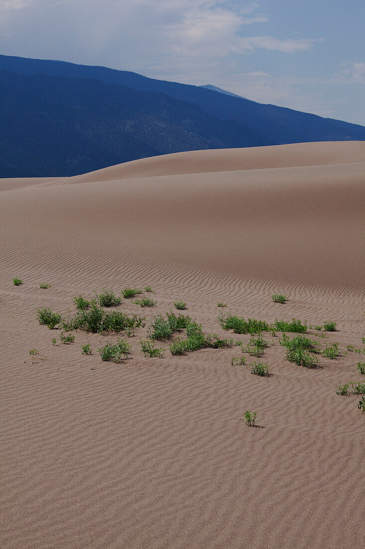 Große Sanddünen-Nationalpark, Colorado, USA.