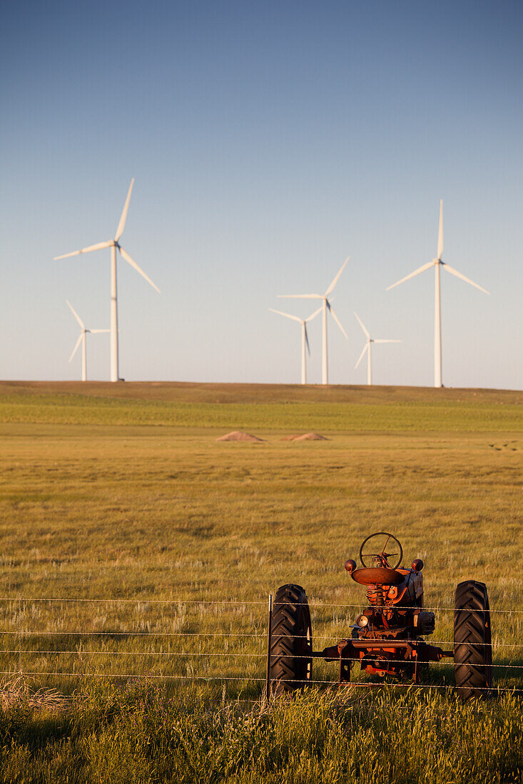Windgeneratoren auf einem Feld, Montana, USA.
