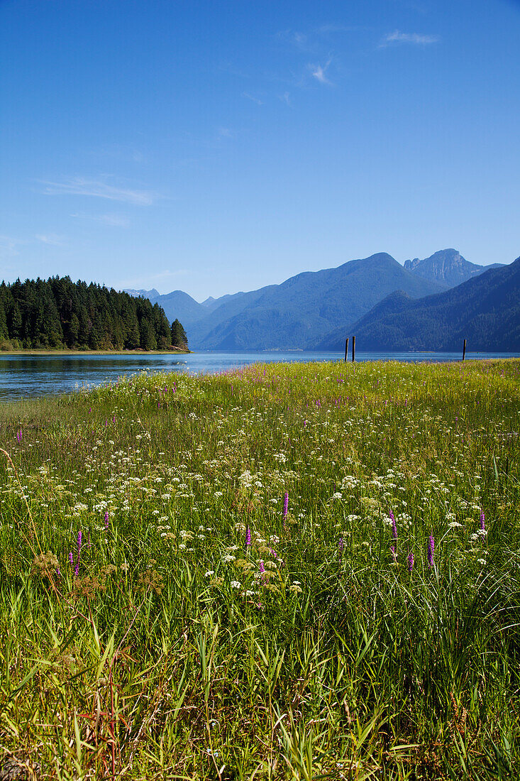 Malerische Landschaft, Pitt Lake, Pitt Meadows, British Columbia, Kanada