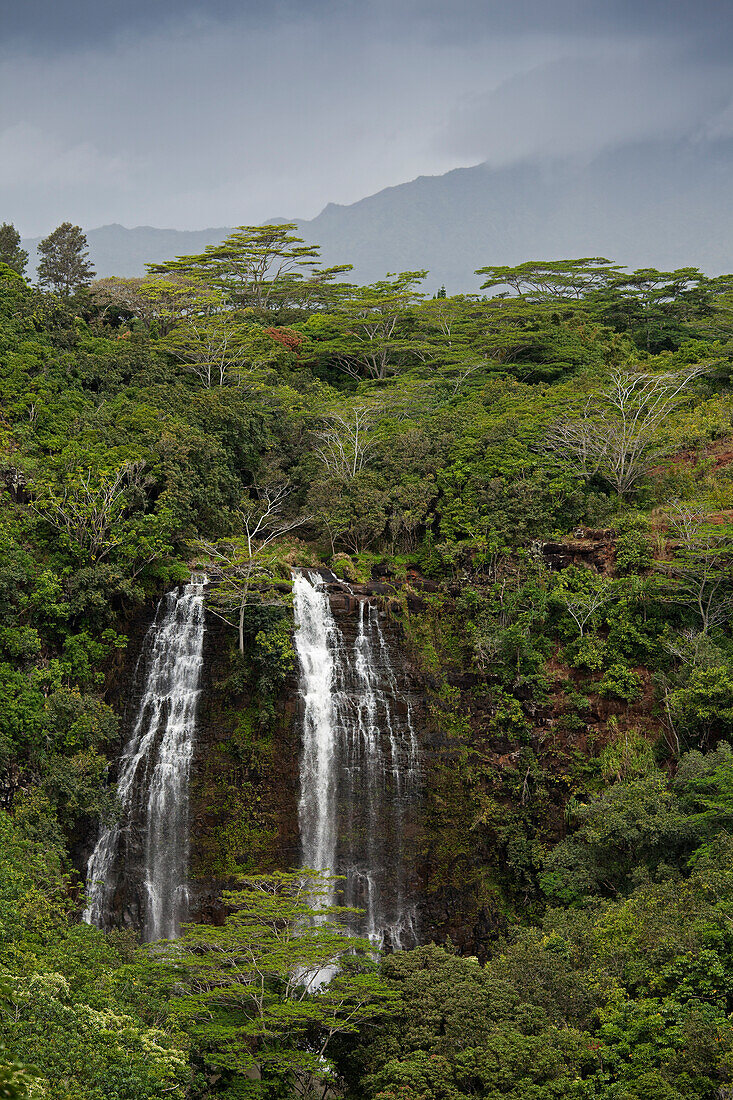 Opaeka'a Falls, Kauai, Hawaii, USA