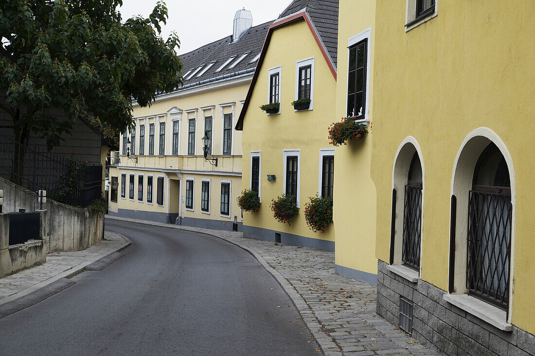 Straße mit gelben Häusern, Grinzing, Dobling, Wien, Österreich