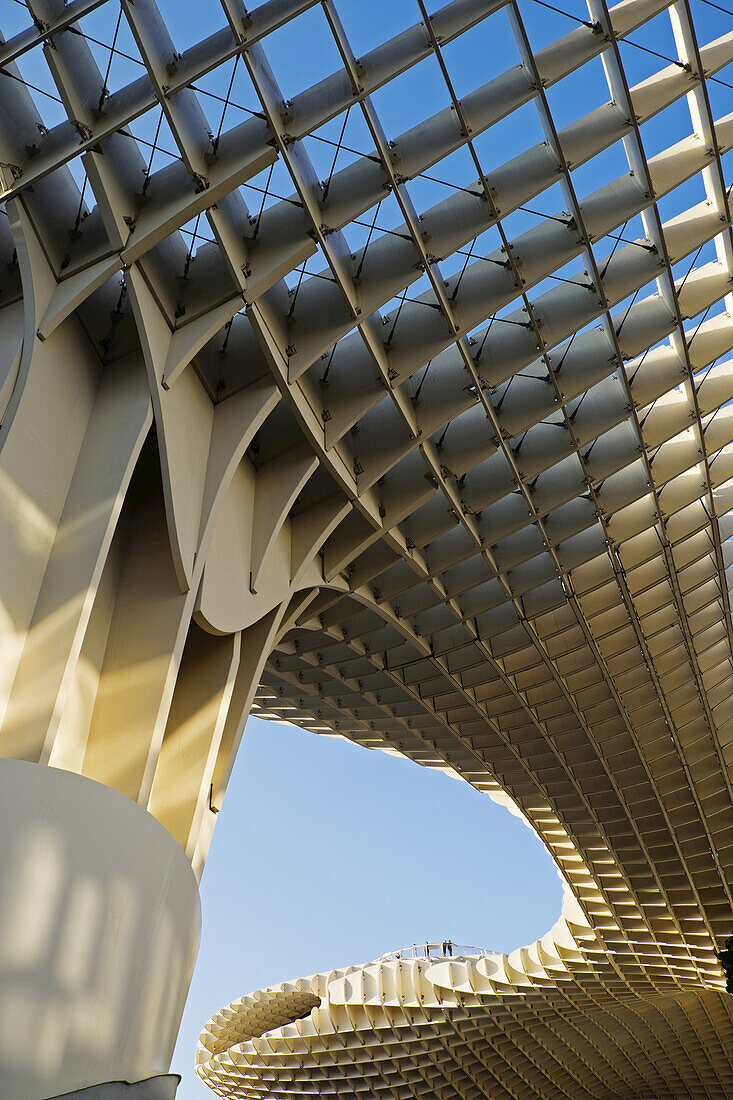 Nahaufnahme des Metropol-Sonnenschirms am Plaza de la Encarnacion, Sevilla, Andalusien, Spanien