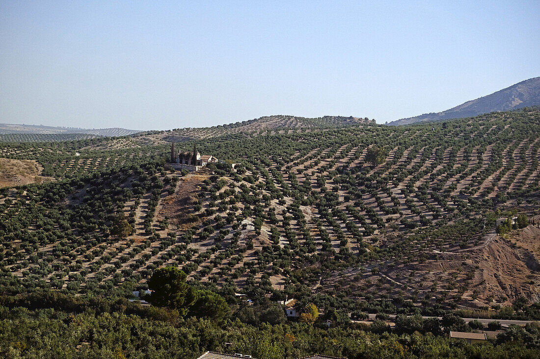 Blick auf Ackerland mit Obstplantagen auf dem Weg von Granada nach Madrid, Spanien