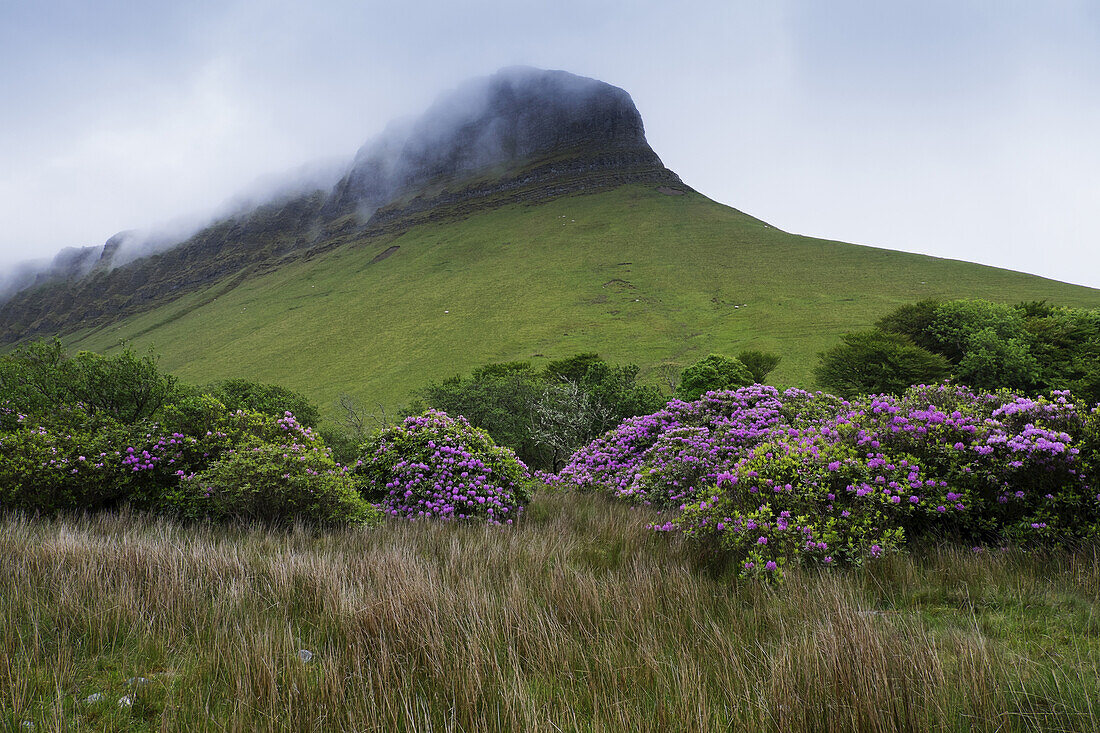 Benbulbin mit Nebel, Dartry Mountains, Grafschaft Sligo, Republik Irland
