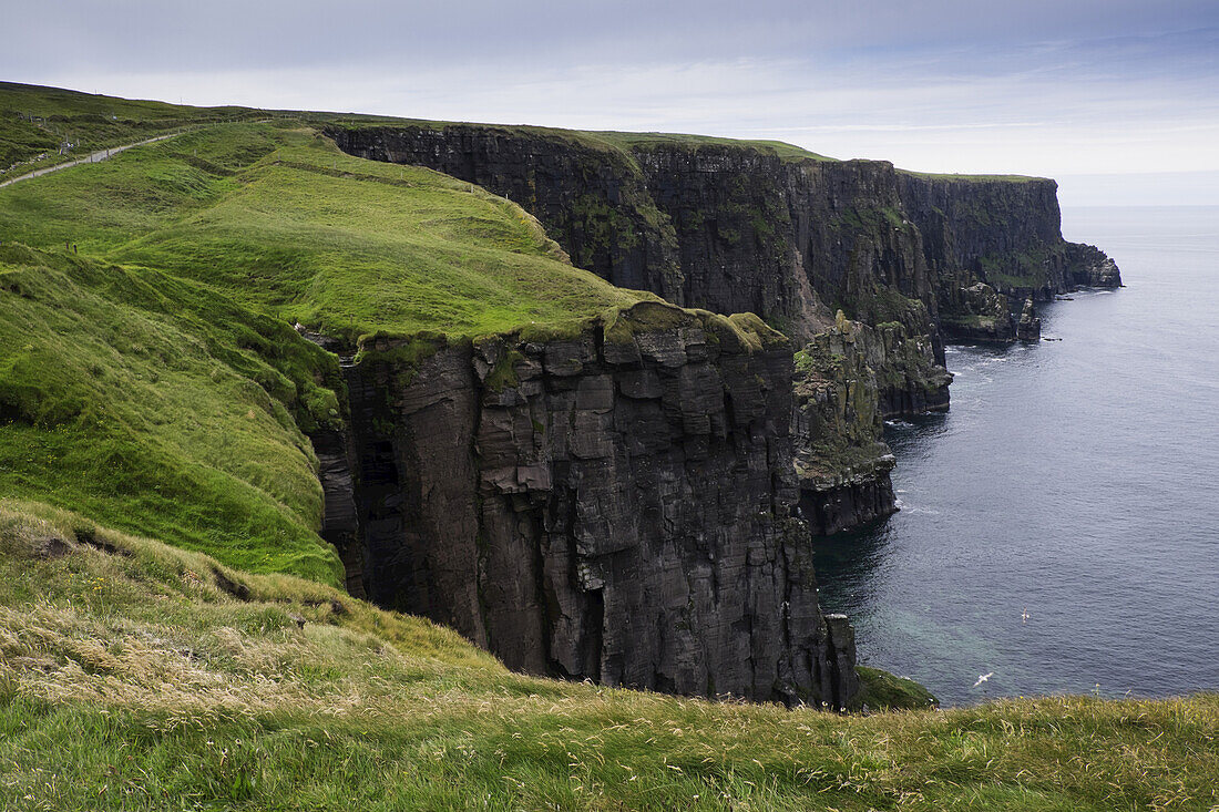 Pfad zu den Cliffs of Moher vom Küstendorf Doolin aus gesehen, Republik Irland