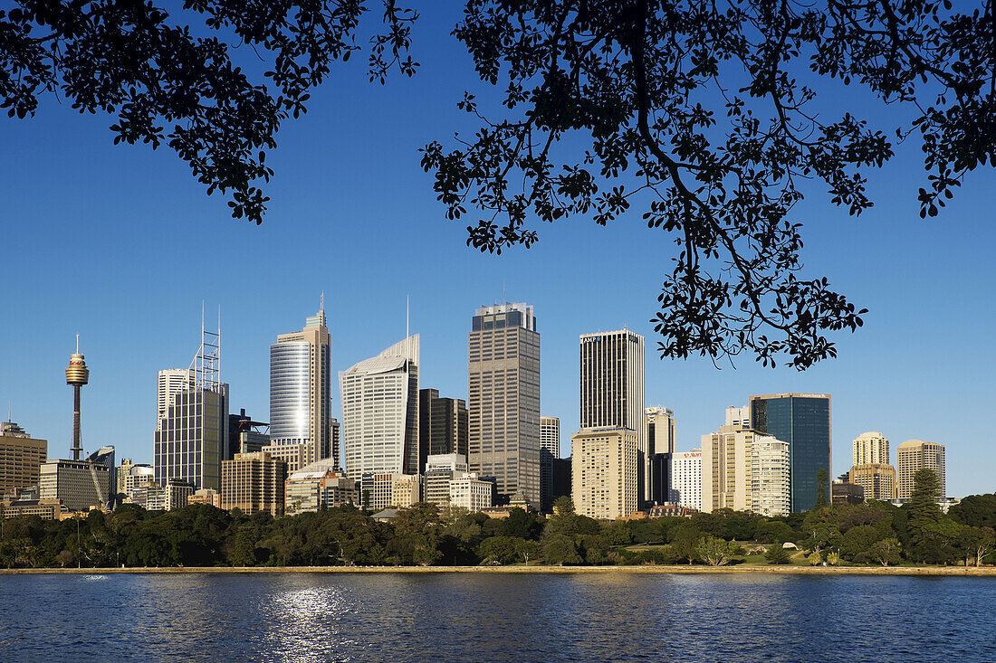 Sydney Hafen und Skyline des zentralen Geschäftsviertels in Sydney, Australien