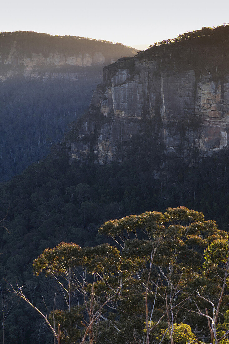 Rock formations of the elevated plateau in the Blue Mountains National Park in New South Wales, Australia