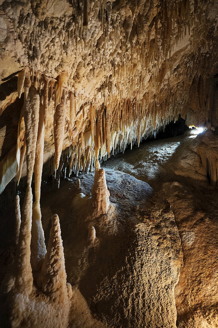 Nahaufnahme von Stalagmiten und Stalaktiten in den Jenolan-Höhlen in den Blue Mountains in New South Wales, Australien