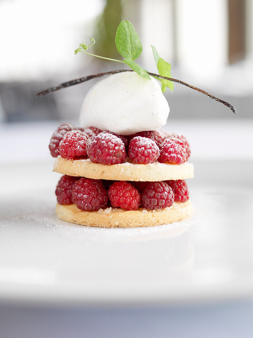 Raspberry Shortcake