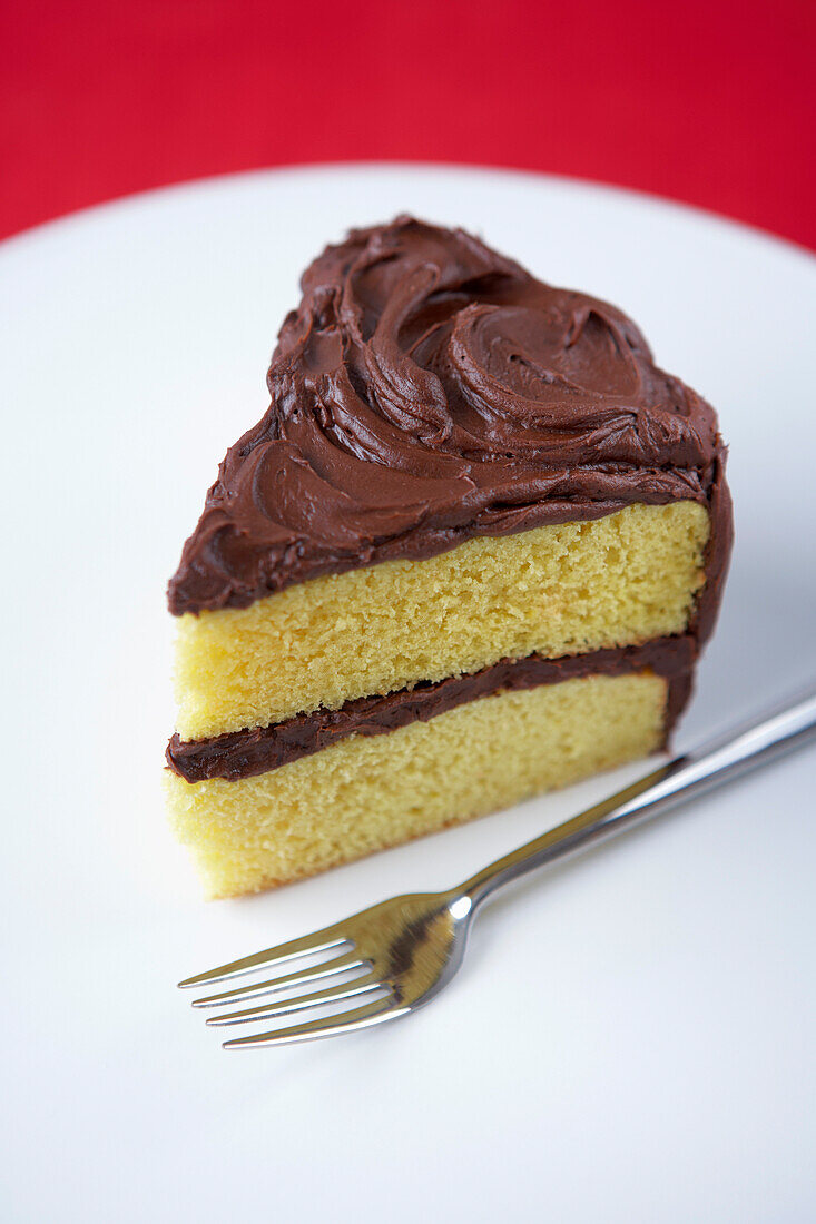 Slice of Cake with Chocolate Icing