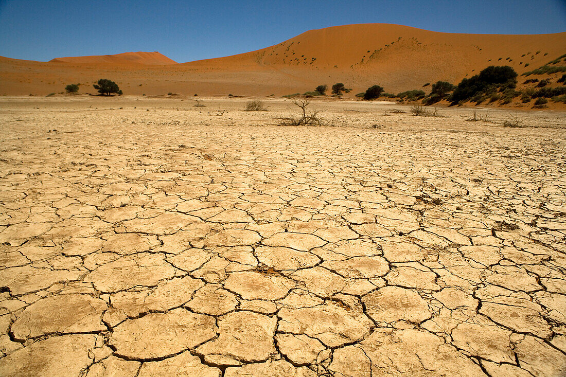 Gerissene Erde, Namib-Naukluft National Park, Namibia