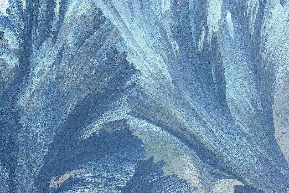 Frost on Glass, Shamper's Bluff, New Brunswick, Canada