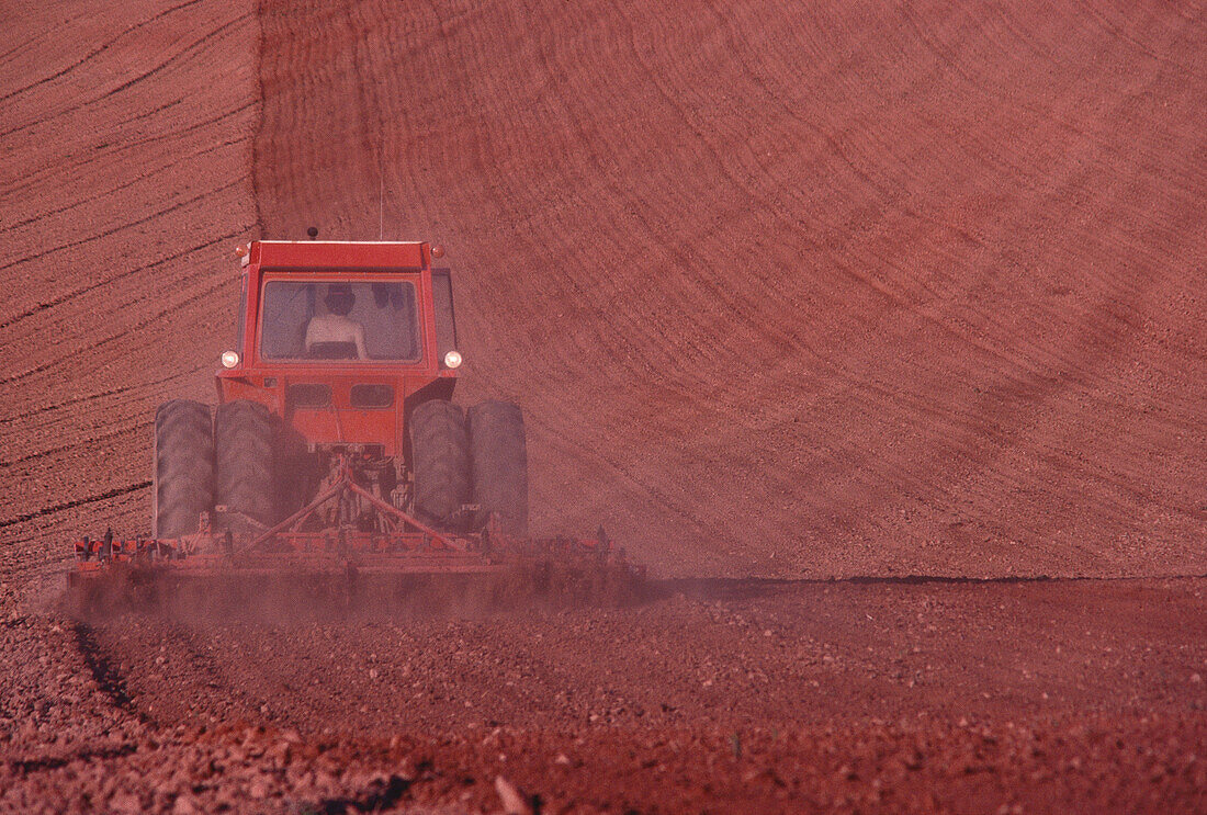 Harrowing, New London, Prince Edward Island, Canada