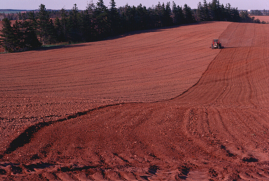 Harrowing, New London, Prince Edward Island, Canada