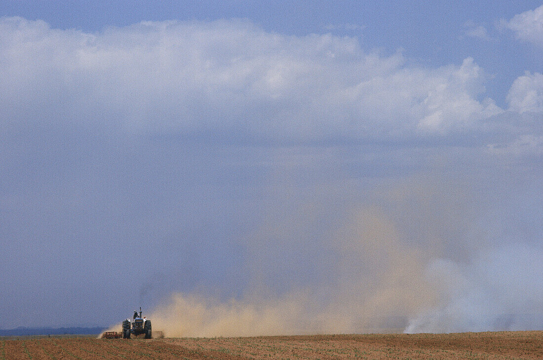 Landwirtschaft, Ost-Transvaal, Südafrika