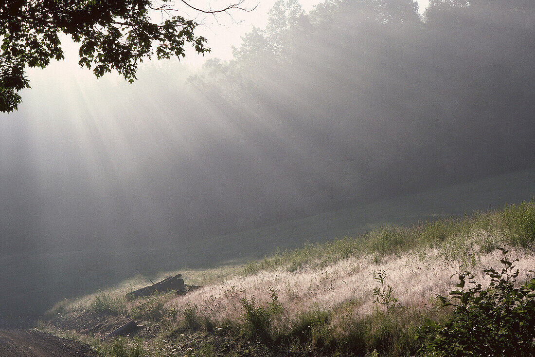 Sunrays and Mist, near Kingston, New Brunswick, Canada