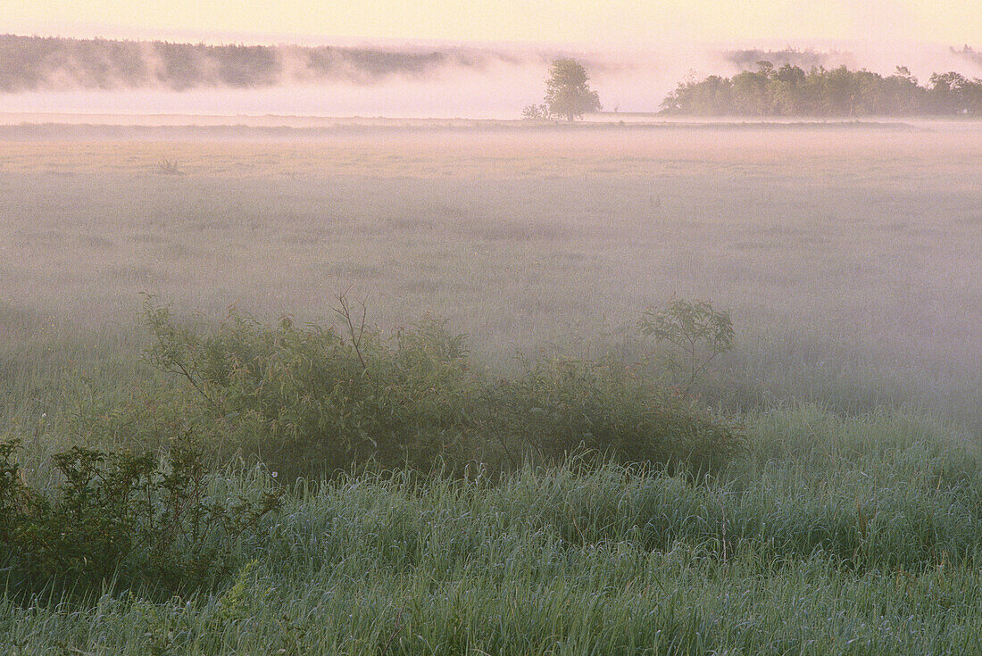 Morgennebel, Lower Jemseg, New Brunswick, Kanada