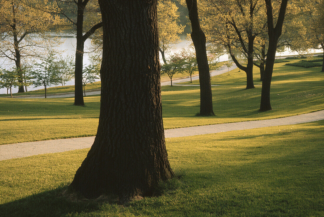 Frühling im High Park, Toronto, Ontario, Kanada