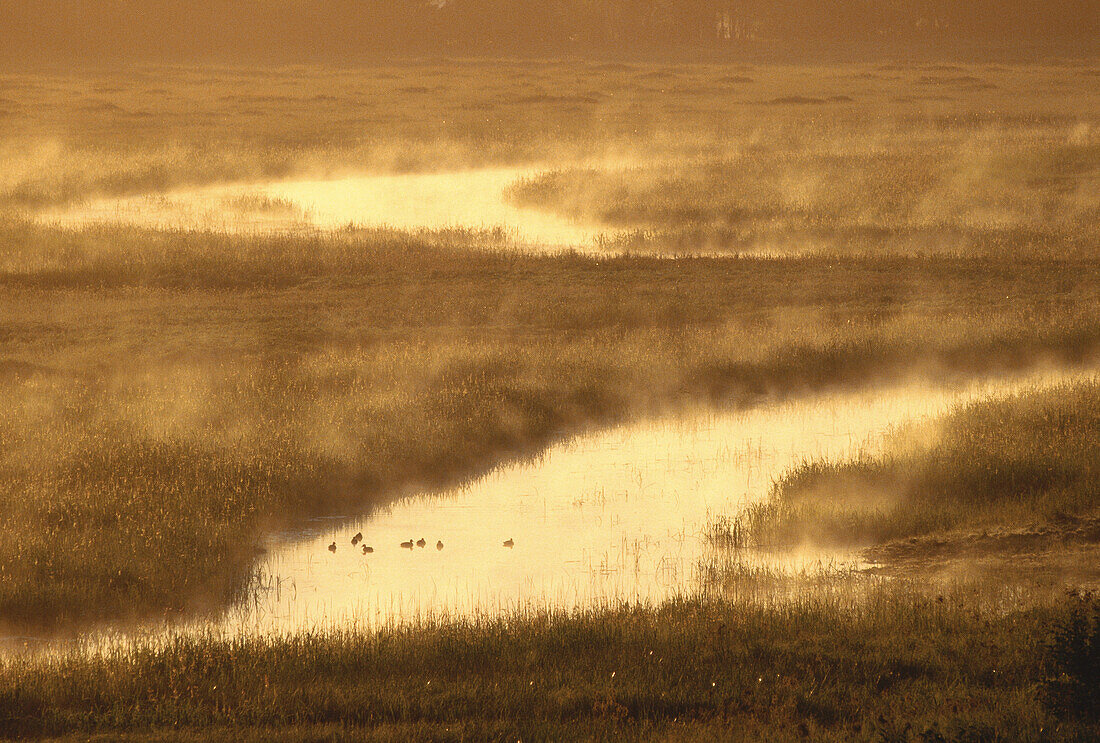 Morning Mists, Central Hampstead, New Brunswick, Canada