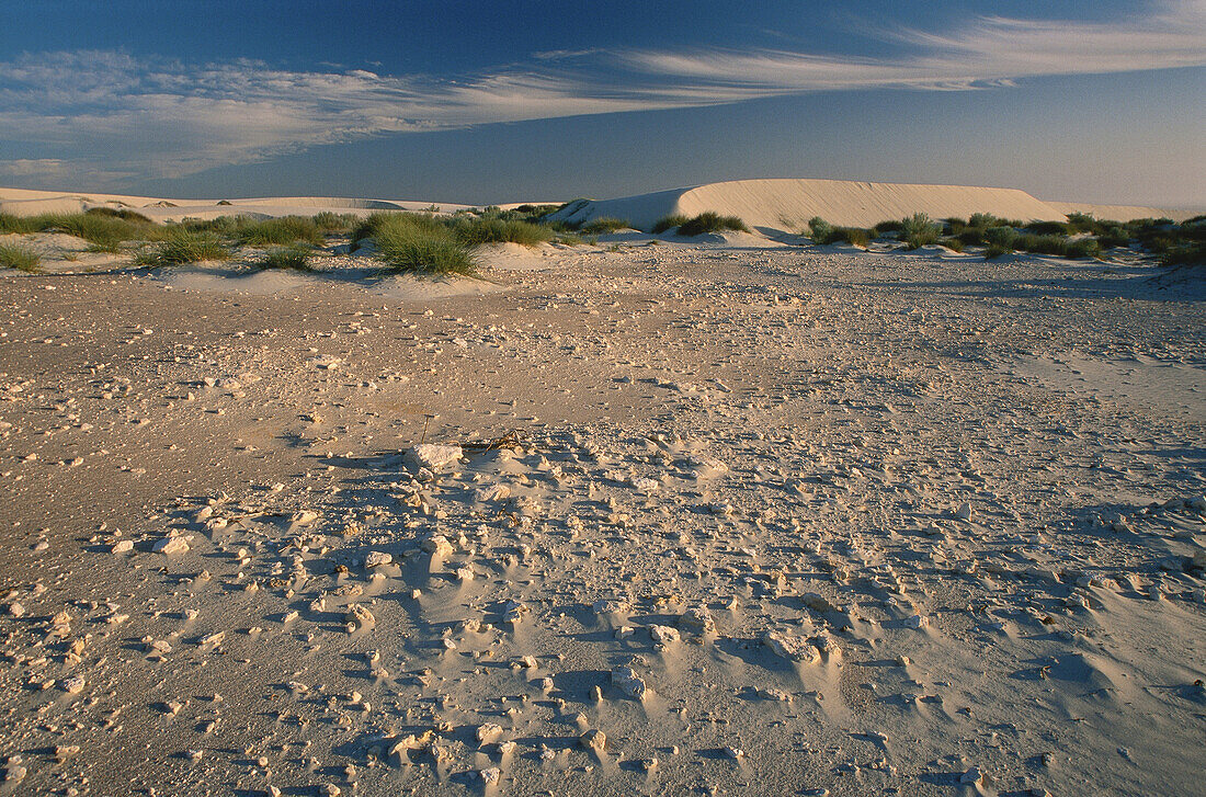 Rocky Area in Dunes, Boulderbaai, West Coast Nat. Pk., Northern Cape, South Africa