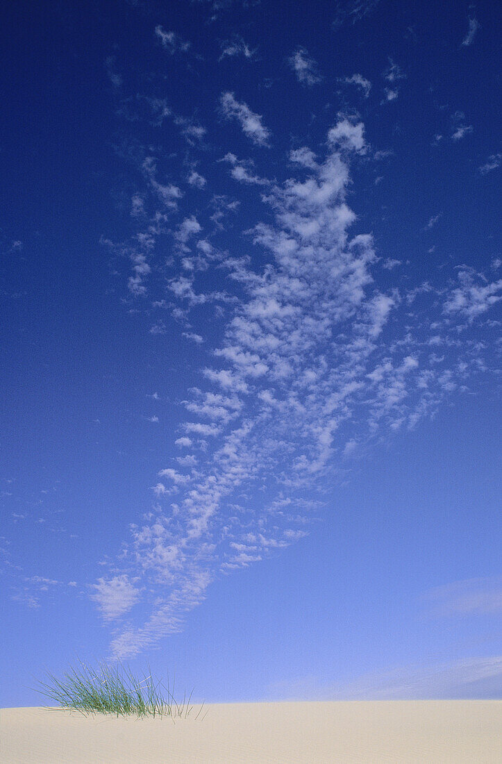 Wolke über Dünen, Boulderbaai, Kap-Provinz, Südafrika