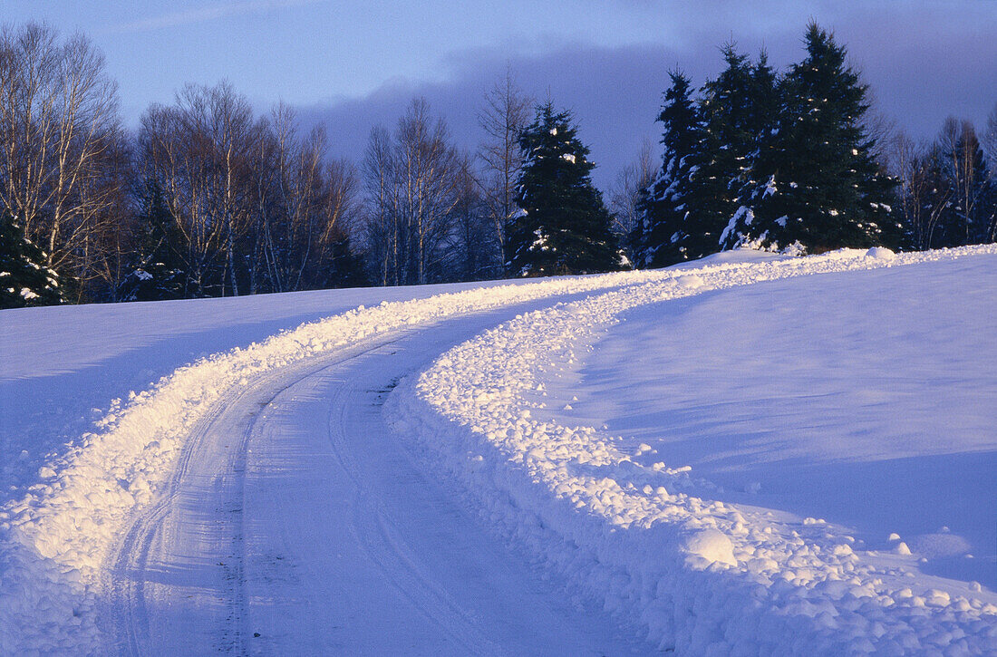 Country Road in Winter, Shampers Bluff, New Brunswick, Canada