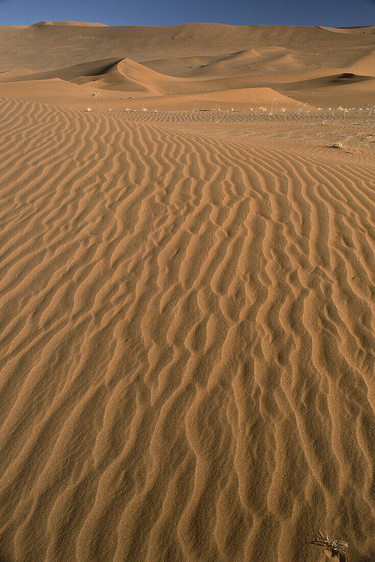 Wüste, Sossusvlei, Namibia